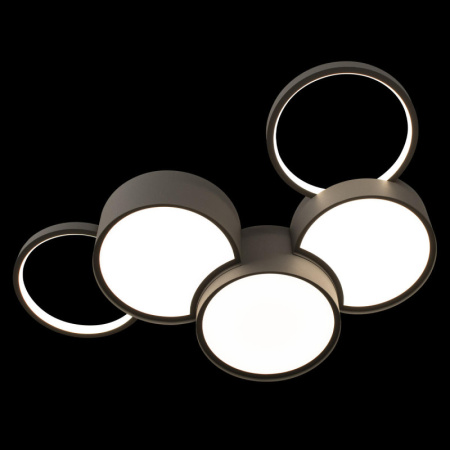 Накладные светильники — Накладной светильник LOFT IT 10317/5 Grey купить в 