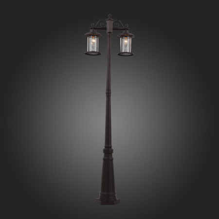 Высокие уличные фонари — Садово-парковый светильник ST-Luce SL080.425.02 купить в 