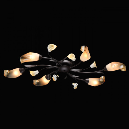 Люстры накладные — Накладная люстра MW-Light 242017006 купить в 