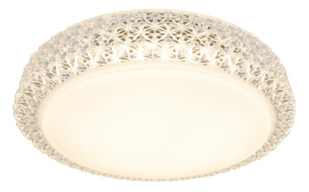 Накладные светильники — Накладной светильник ARTE Lamp A1569PL-1CL купить в 