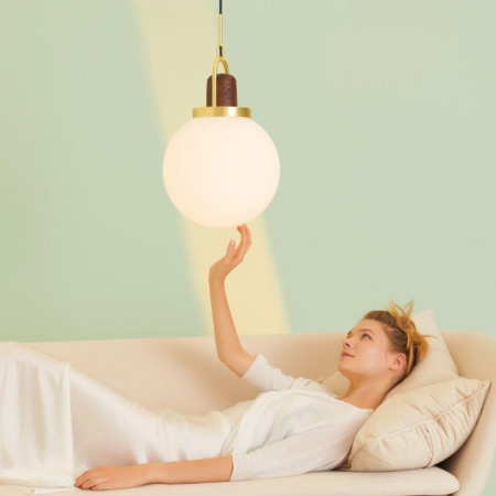 Подвесные светильники — Подвесной светильник Imperium Loft Arc Globe 191840-26 купить в 