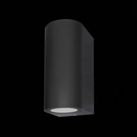 Уличные настенные светильники — Светильник настенный ST-Luce SL9001.401.02 купить в 