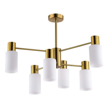 Люстры на штанге — Люстра на штанге Evoluce SLE1139-302-06 купить в  Люстры на штанге — Люстра на штанге Evoluce SLE1139-302-06 купить в