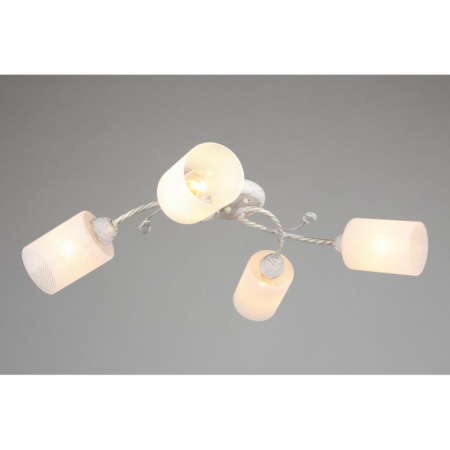 Люстры накладные — Накладная люстра Omnilux OML-28607-04 купить в 