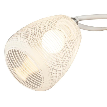 Потолочные люстры — Потолочная люстра Seven Fires Albenga 66423.01.64.03 купить в  Потолочные люстры — Потолочная люстра Seven Fires Albenga 66423.01.64.03 купить в