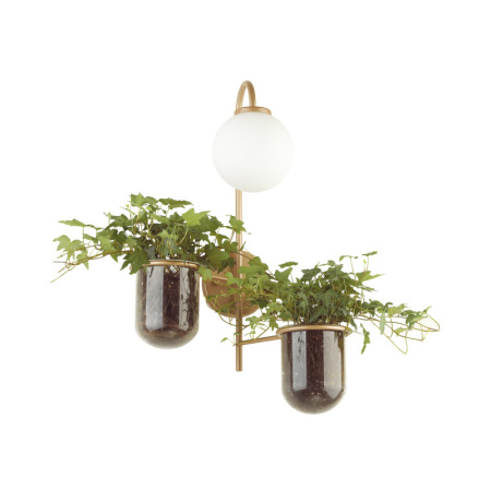 Настенные бра — Бра Odeon Light 4682/1W купить в 