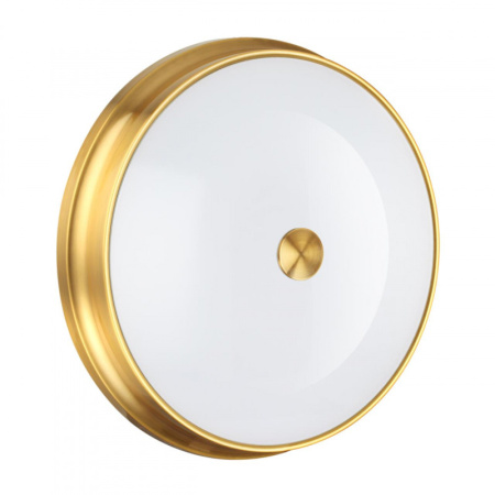 Накладные светильники — Накладной светильник Odeon Light 4824/4C купить в 