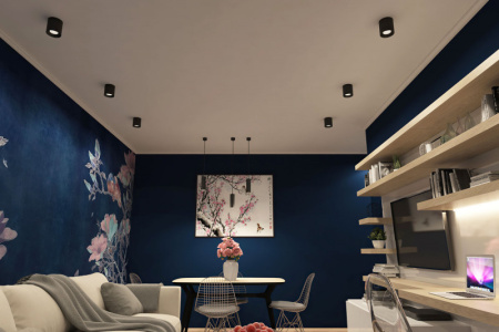 Накладные точечные светильники — Накладной светильник Denkirs DK3090-BK+WH купить в 