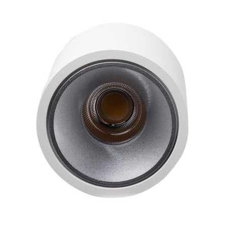 Накладные точечные светильники — Накладной светильник LeDron RINBOK White/Grey купить в 