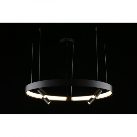 Люстры подвесные — Подвесная люстра APLOYT APL.041.13.50 купить в 