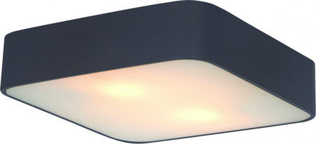 Накладные светильники — Накладной светильник ARTE Lamp A7210PL-2BK купить в  Накладные светильники — Накладной светильник ARTE Lamp A7210PL-2BK купить в