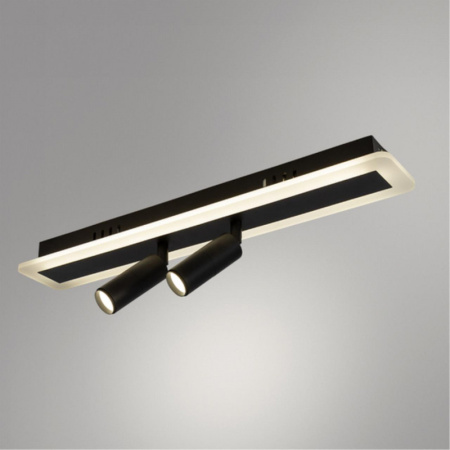 Накладные светильники — Накладной светильник ARTE Lamp A2607PL-22BK купить в  Накладные светильники — Накладной светильник ARTE Lamp A2607PL-22BK купить в