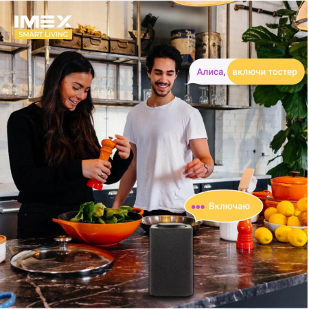 Розетки — Розетка Wi-Fi 2К+З IMEX 16A белая SML-211 WH купить в  Розетки — Розетка Wi-Fi 2К+З IMEX 16A белая SML-211 WH купить в