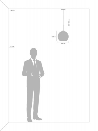 Подвесные светильники — Подвесной светильник Freya FR8003PL-01BS купить в 