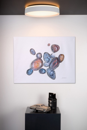 Накладные светильники — Накладной светильник LUCIDE 79182/24/31 купить в 