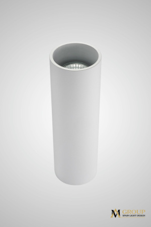 Накладные точечные светильники — Накладной светильник AM Group AM02-250 WH купить в 