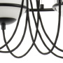 Люстры подвесные — Подвесная люстра Lightstar 803267 купить в  Люстры подвесные — Подвесная люстра Lightstar 803267 купить в