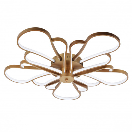 Люстры накладные — Накладная люстра F-Promo 2548-5U купить в  Люстры накладные — Накладная люстра F-Promo 2548-5U купить в