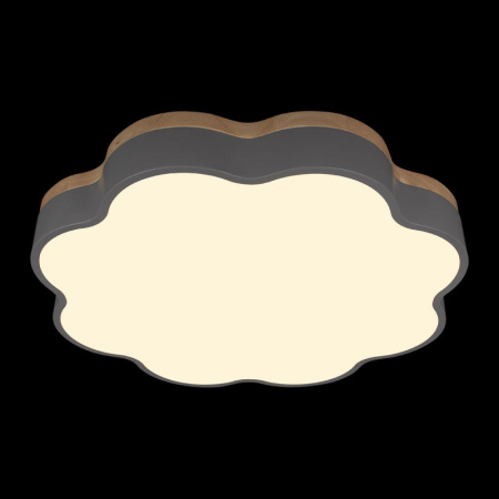 Накладные светильники — Накладной светильник LOFT IT 10225/36 Grey купить в 