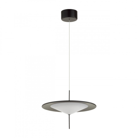 Подвесные светильники — Подвесной светильник Odeon Light 5012/16L купить в 