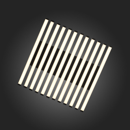 Накладные светильники — Накладной светильник ST-Luce SL839.402.18 купить в 