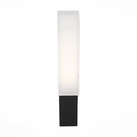 Уличные настенные светильники — Светильник настенный ST-Luce SL096.411.02 купить в 