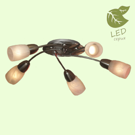 Люстры накладные — Накладная люстра Lussole GRLSQ-6907-05 купить в 