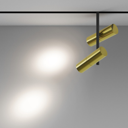 Трековые светильники — Светильник на шине Maytoni Technical TR005-2-2X12W4K-BBS купить в 