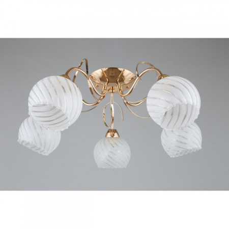 Люстры накладные — Накладная люстра Omnilux OML-24907-05 купить в 