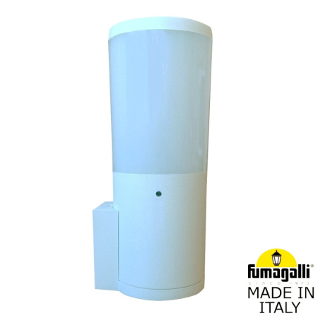 Уличные настенные светильники — Светильник настенный Fumagalli DR2.570.000.WYF1R купить в 