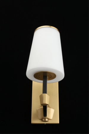 Настенные бра — Бра APLOYT APL.803.01.01 купить в 