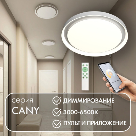Накладные светильники — Накладной светильник Denkirs DK6516-WH купить в  Накладные светильники — Накладной светильник Denkirs DK6516-WH купить в