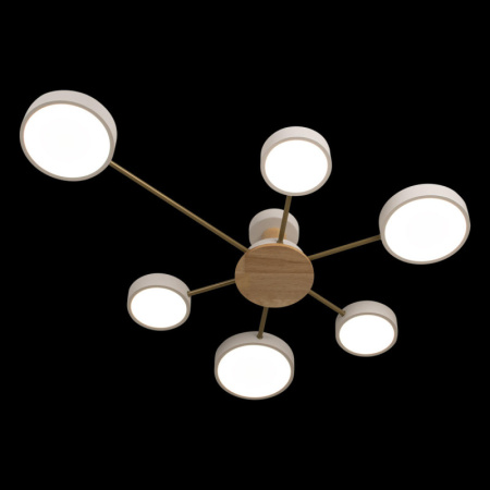 Накладные светильники — Накладной светильник LOFT IT 10316/6 White купить в 