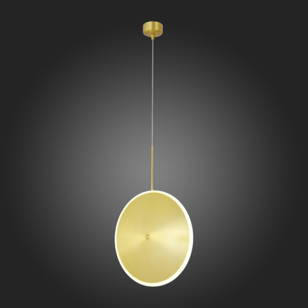 Подвесные светильники — Подвесной светильник ST-Luce SL1221.213.01 купить в 