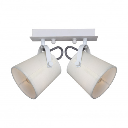 Накладные светильники — Накладной светильник F-Promo 2176-2U купить в 