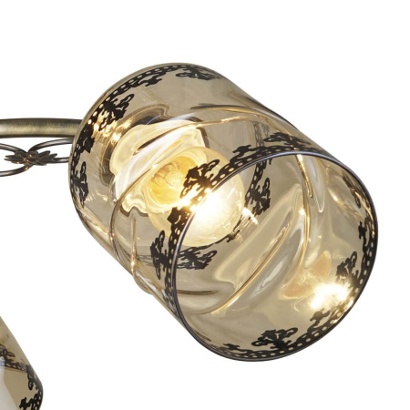 Потолочные люстры — Потолочная люстра Seven Fires Розора 66351.01.05.03 купить в  Потолочные люстры — Потолочная люстра Seven Fires Розора 66351.01.05.03 купить в