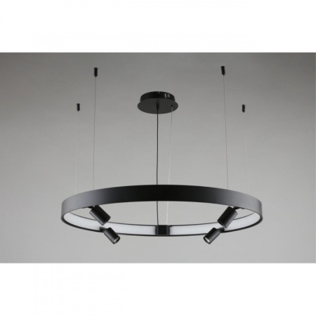 Люстры подвесные — Подвесная люстра APLOYT APL.041.13.50 купить в 